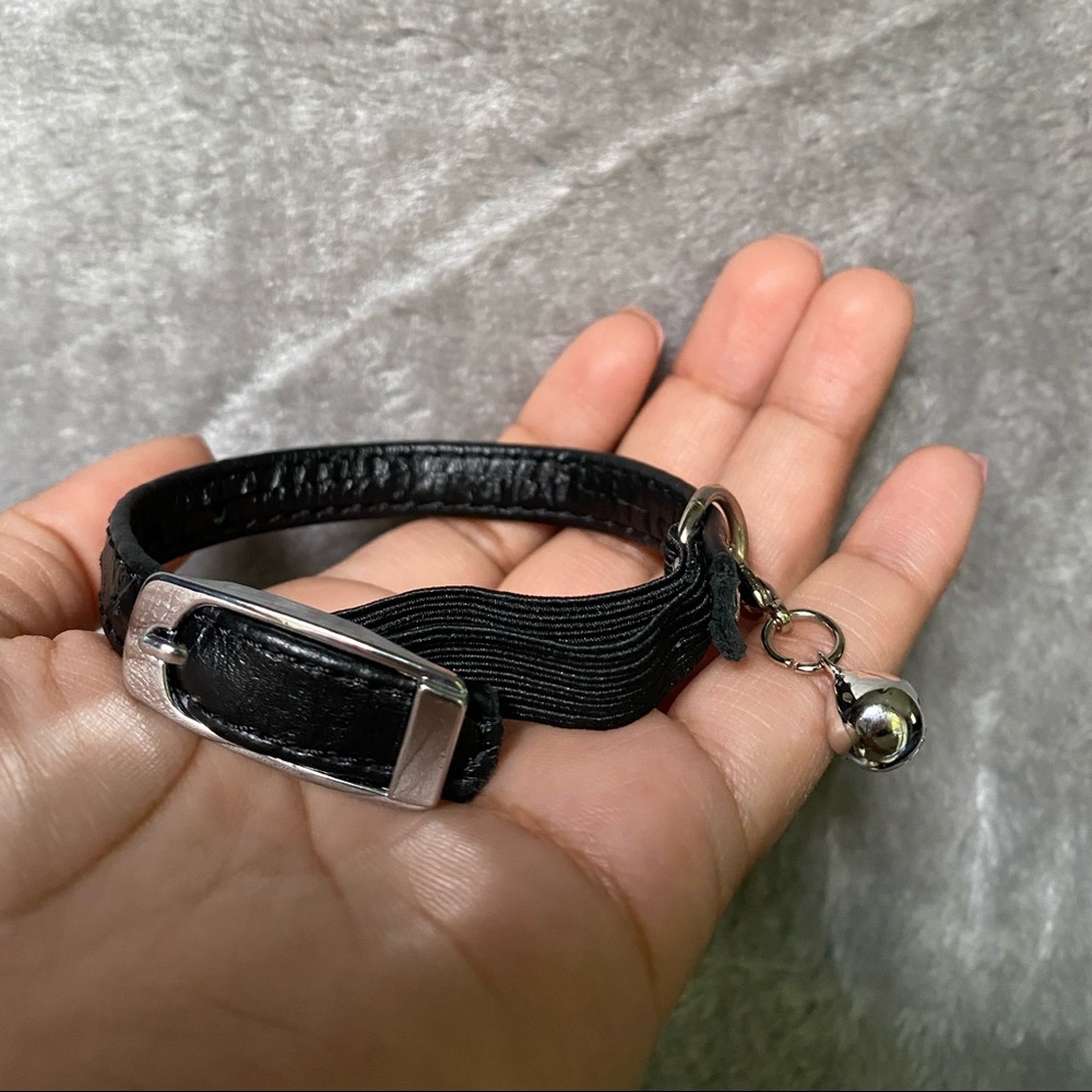 Kitten Collar
